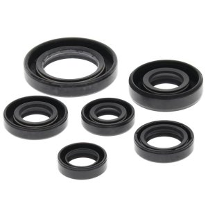 Honda TRX300 Engine Oil Seal Kit - Vertex Pistons - `93-`08